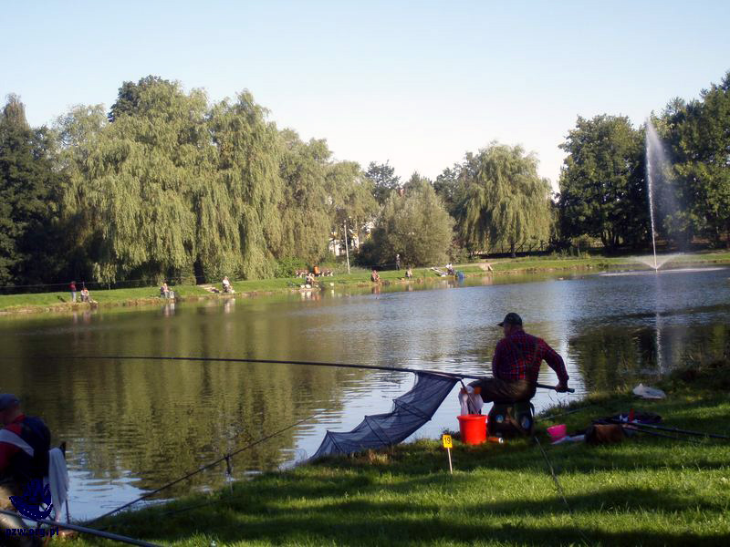 Stawek Łabędzi w Słupsku